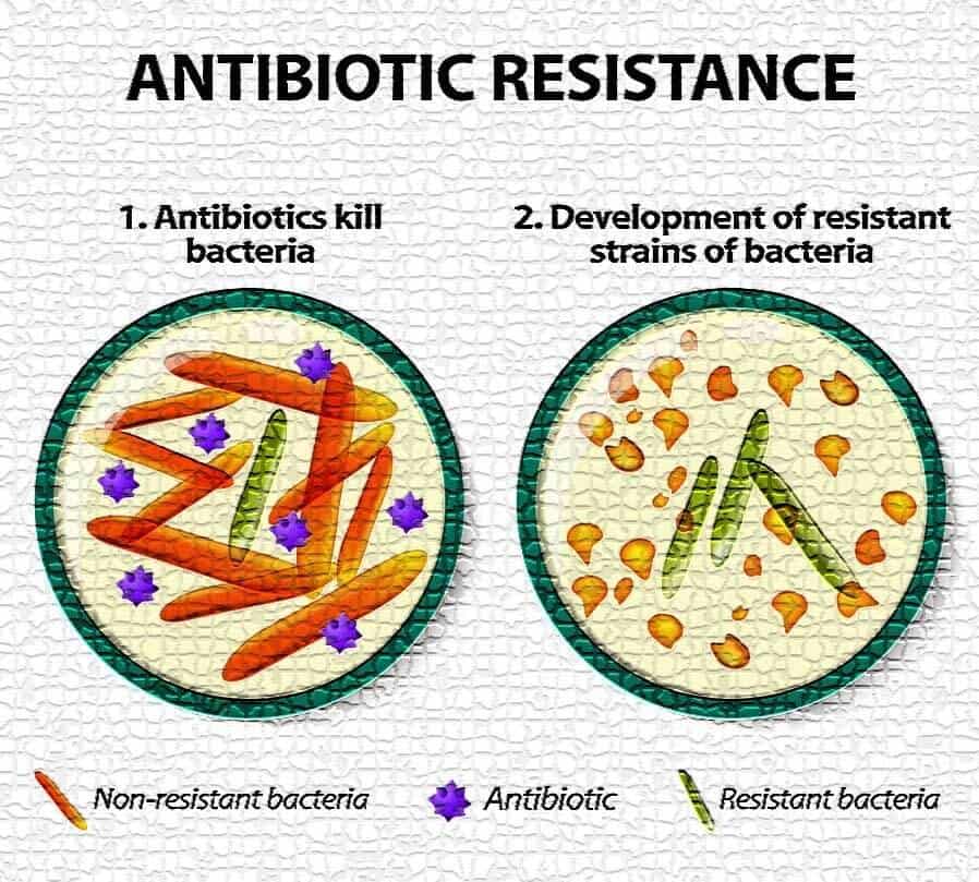 Bacteria Resistant To Antibiotics - CDC Threat Levels