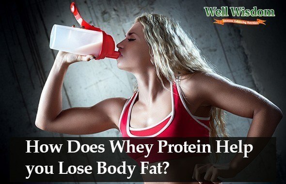 How Does Whey Protein Burn Fat And Increase Muscle 