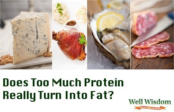 Can Too Much Protein Cause Belly Fat