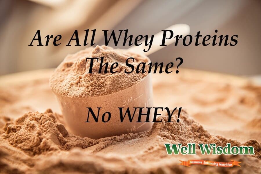 https://www.wellwisdom.com/wp-content/uploads/2017/06/Are-All-Whey-Proteins-The-Same-No-WHEY.jpg