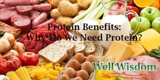 protein-benefits-why-do-we-need-protein-to-your-body