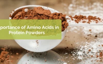 Importance of Amino Acids in Protein Powders