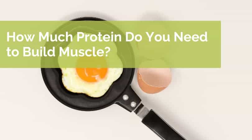 How Much Protein Do You Need to Build Muscle?