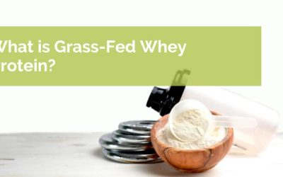 What is Grass-Fed Whey Protein?