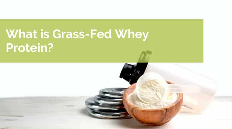 What is Grass-Fed Whey Protein?