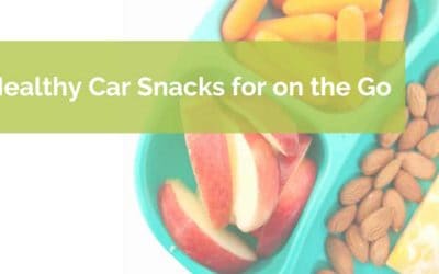 Healthy Car Snacks for on the Go