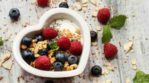 Protein Greek Yogurt Bowl Recipe | Well Wisdom