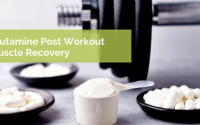 Glutamine Post Workout – Decrease Your Recovery Time