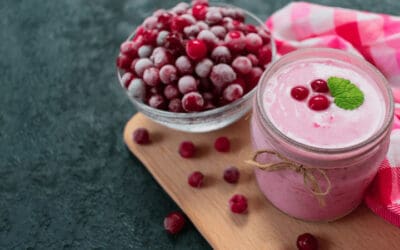 Cranberry Frozen Yogurt